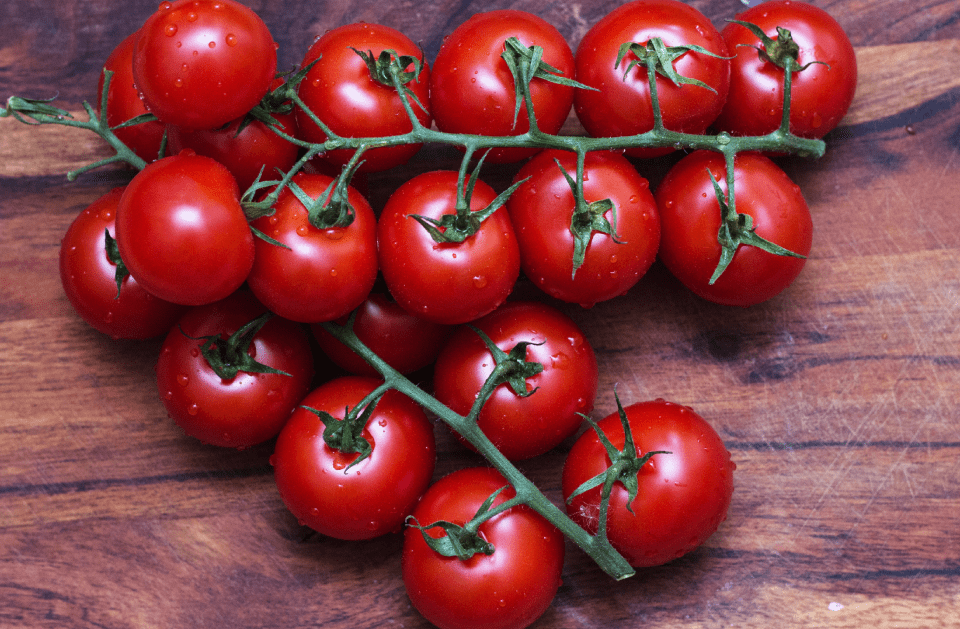 TOMATOES